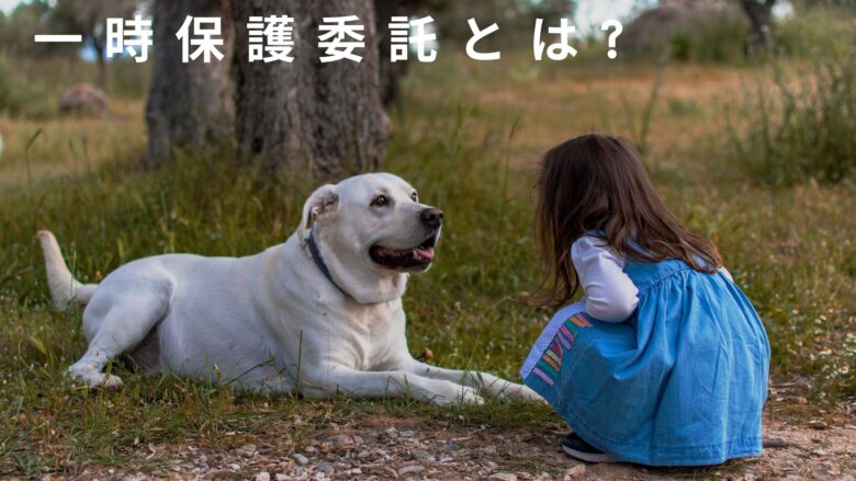 itizihogoitakutoha_tigai_kikann_basyo